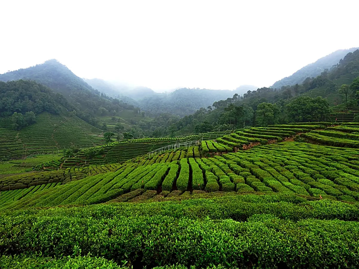 Zhejiang Province, China