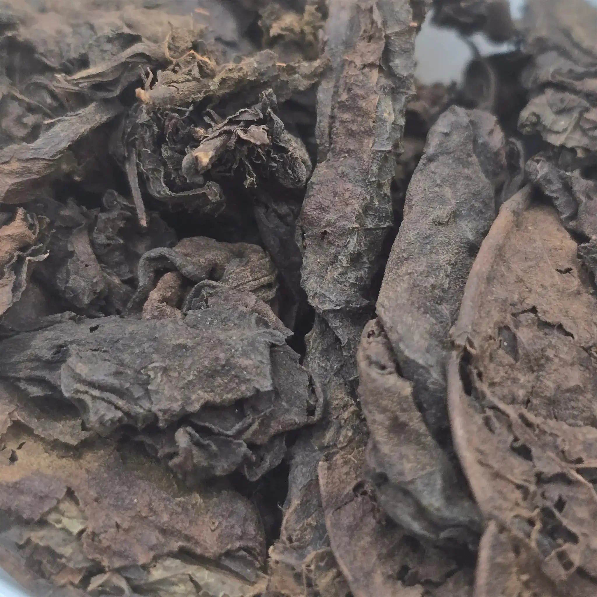 Rare, aged, Ripe Puer Tea, 2010 Gushu Daye Shu Puer Tea