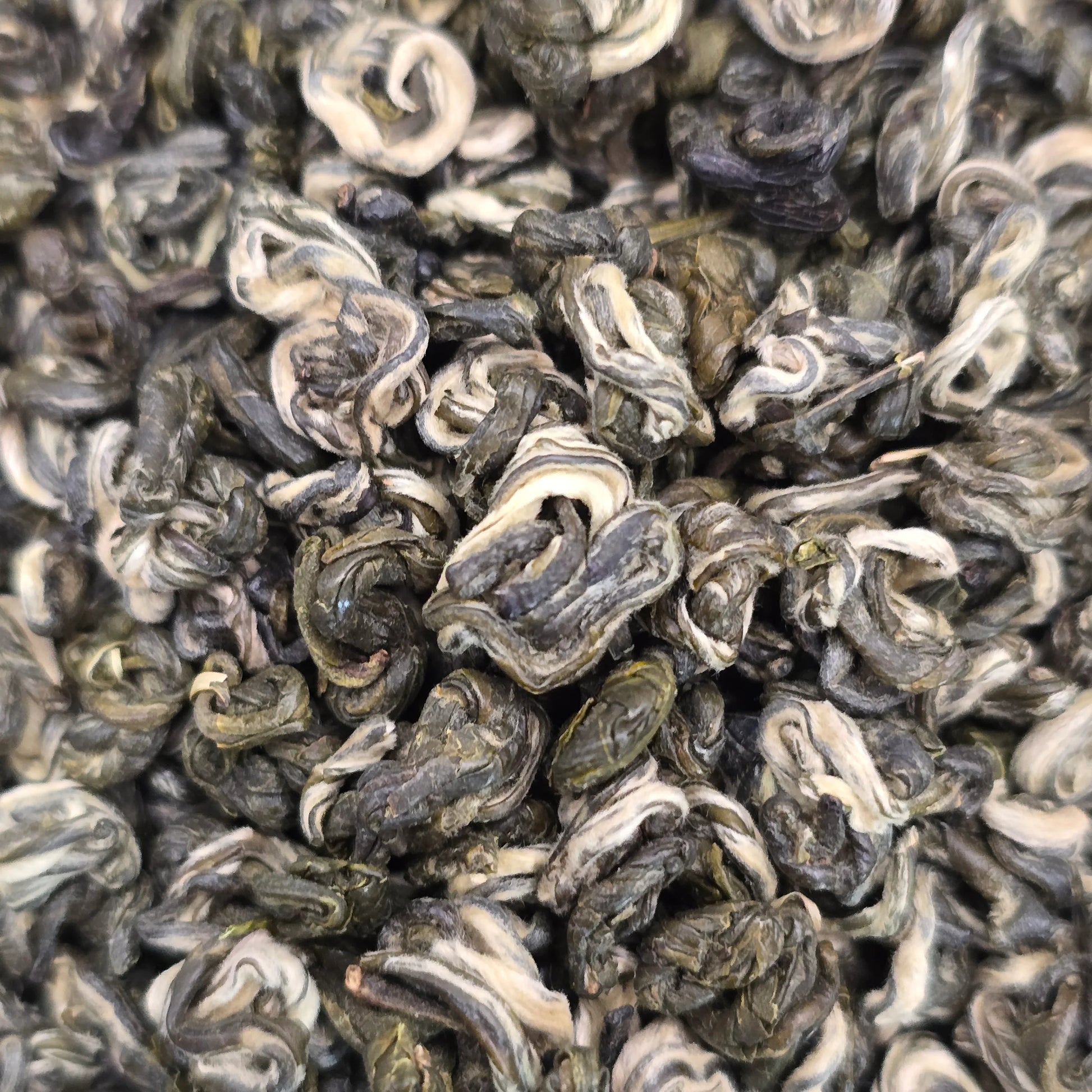 One Leaf One Bud Pi Lo Chun Green Tea - Great Tea!