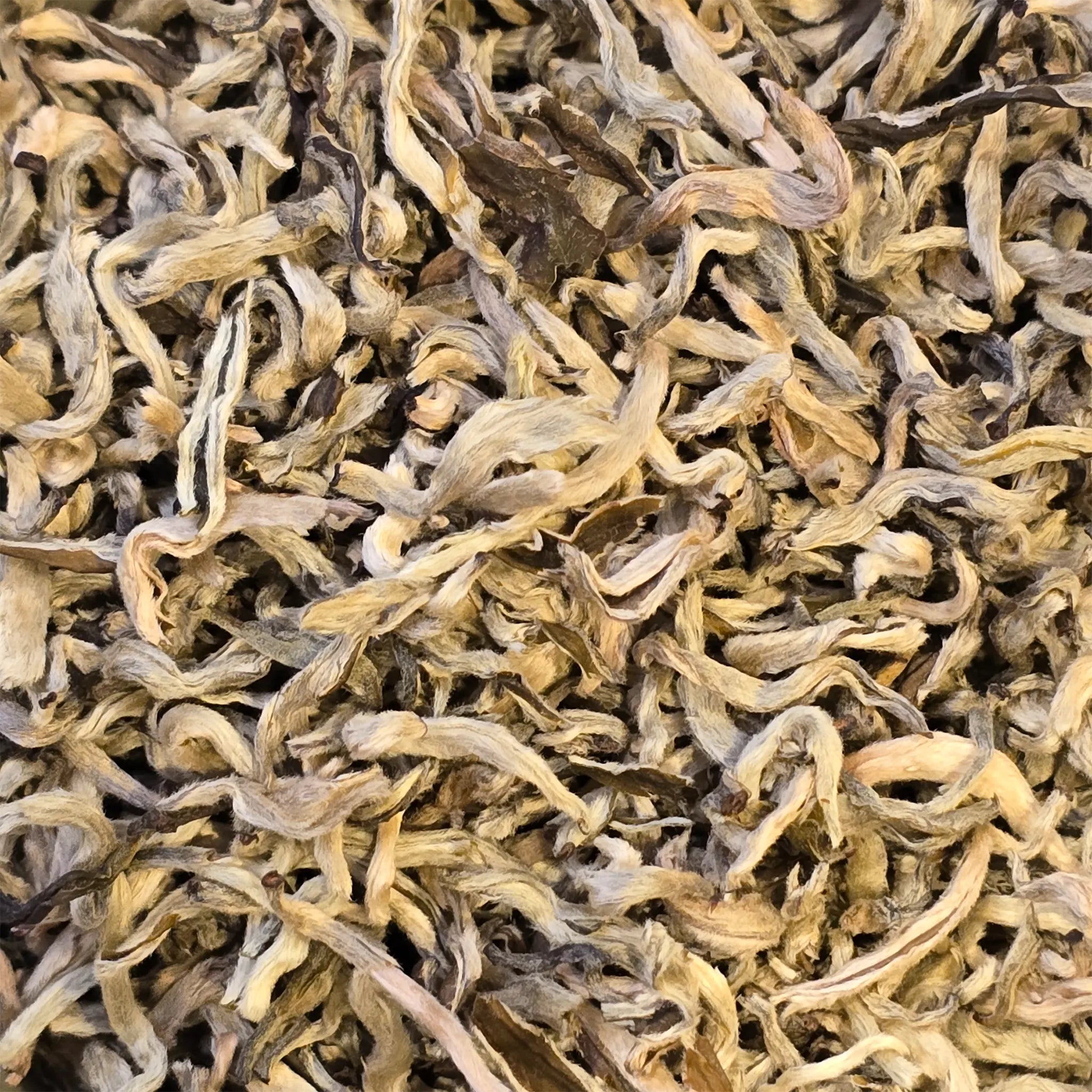 Snowy Dragon Green Tea - Great Tea!