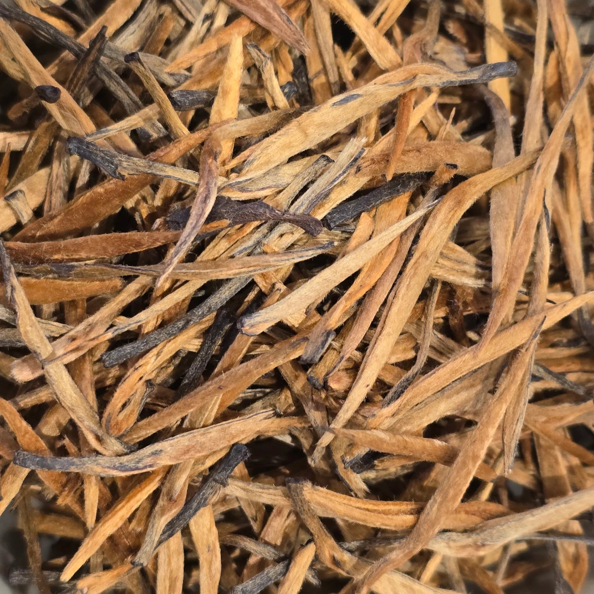 Yunnan Big Leaf Honey Fragrant Dianhong – Big Gold Needle Black Tea - Great Tea!
