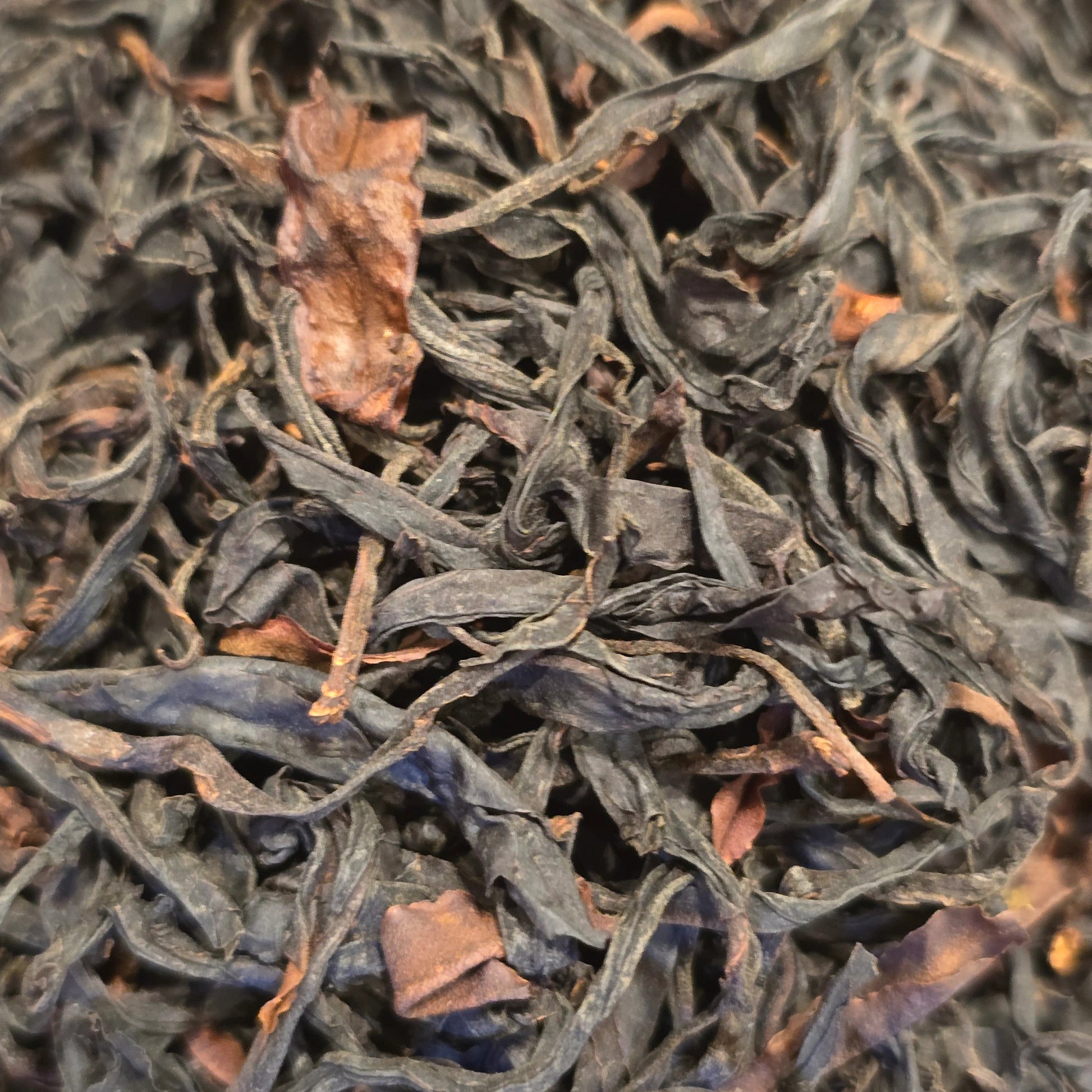 Yunnan High Mountain Old Tree, Wild Dianhong Black Tea - Great Tea!