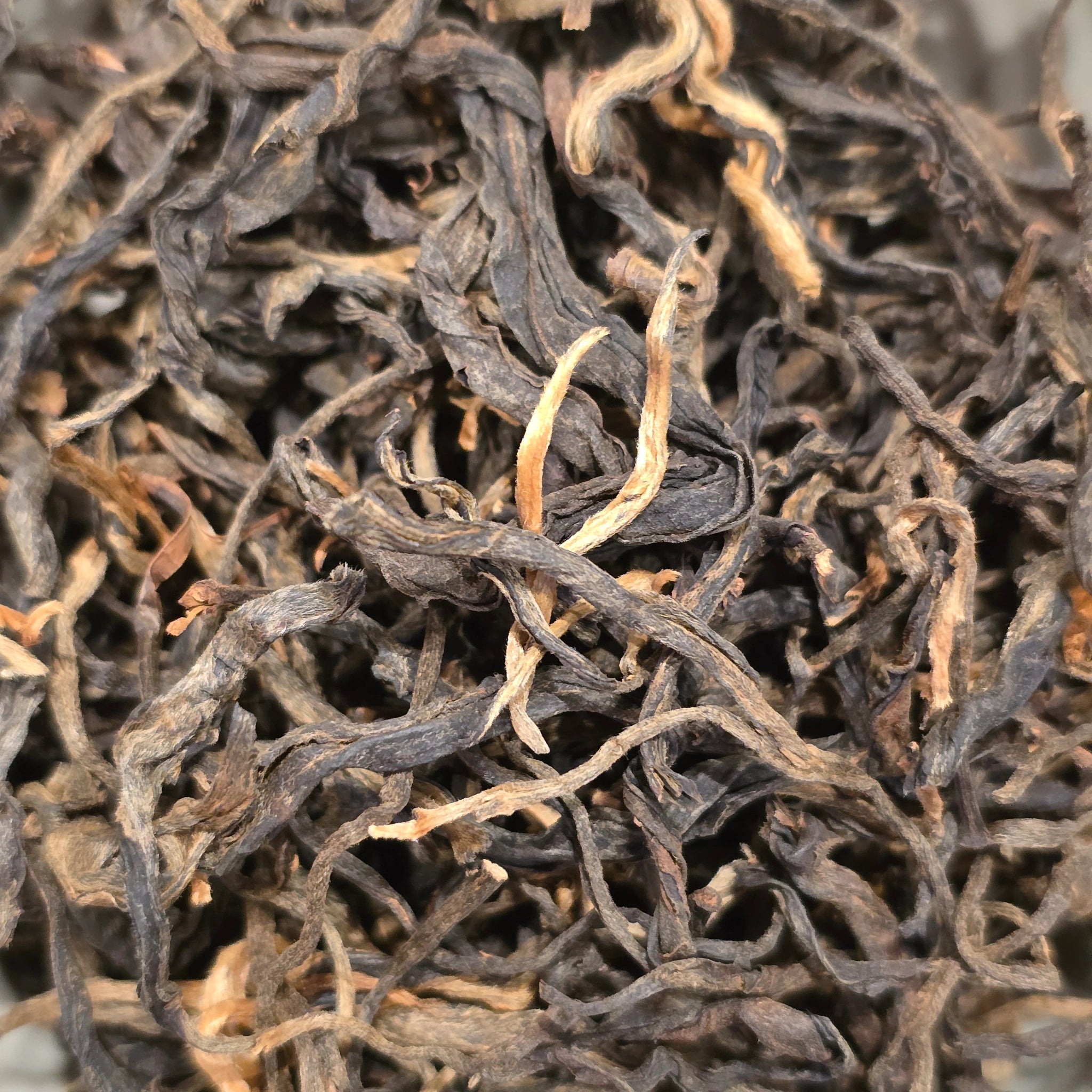 Yunnan Old Tree Mao Feng Sun - Baked Dianhong Black Tea - Great Tea!